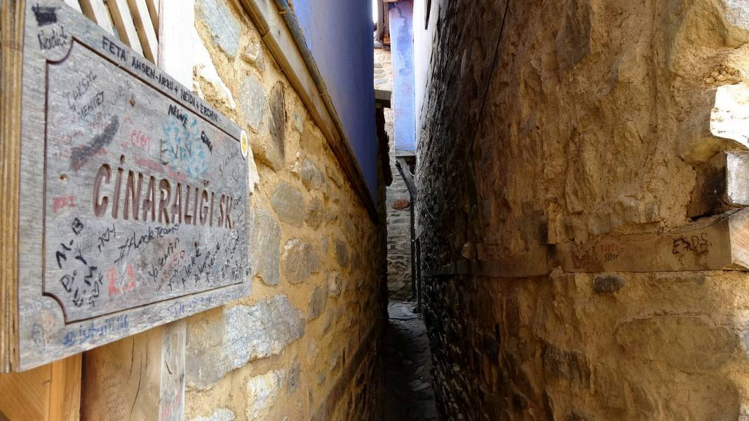 Cumalıkızık'ta 'Cinaralığı' kuyruğu! UNESCO dünya mirasında tam 700 yıllık - Resim: 1